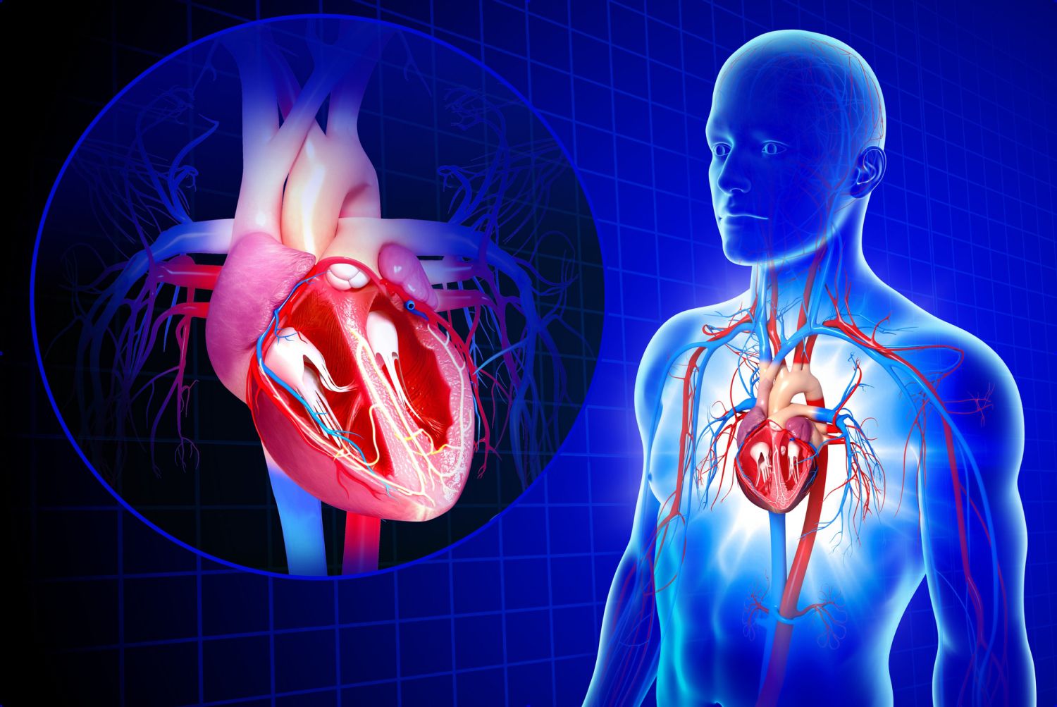 Metode hs-cTnT untuk Diagnosis Serangan Jantung