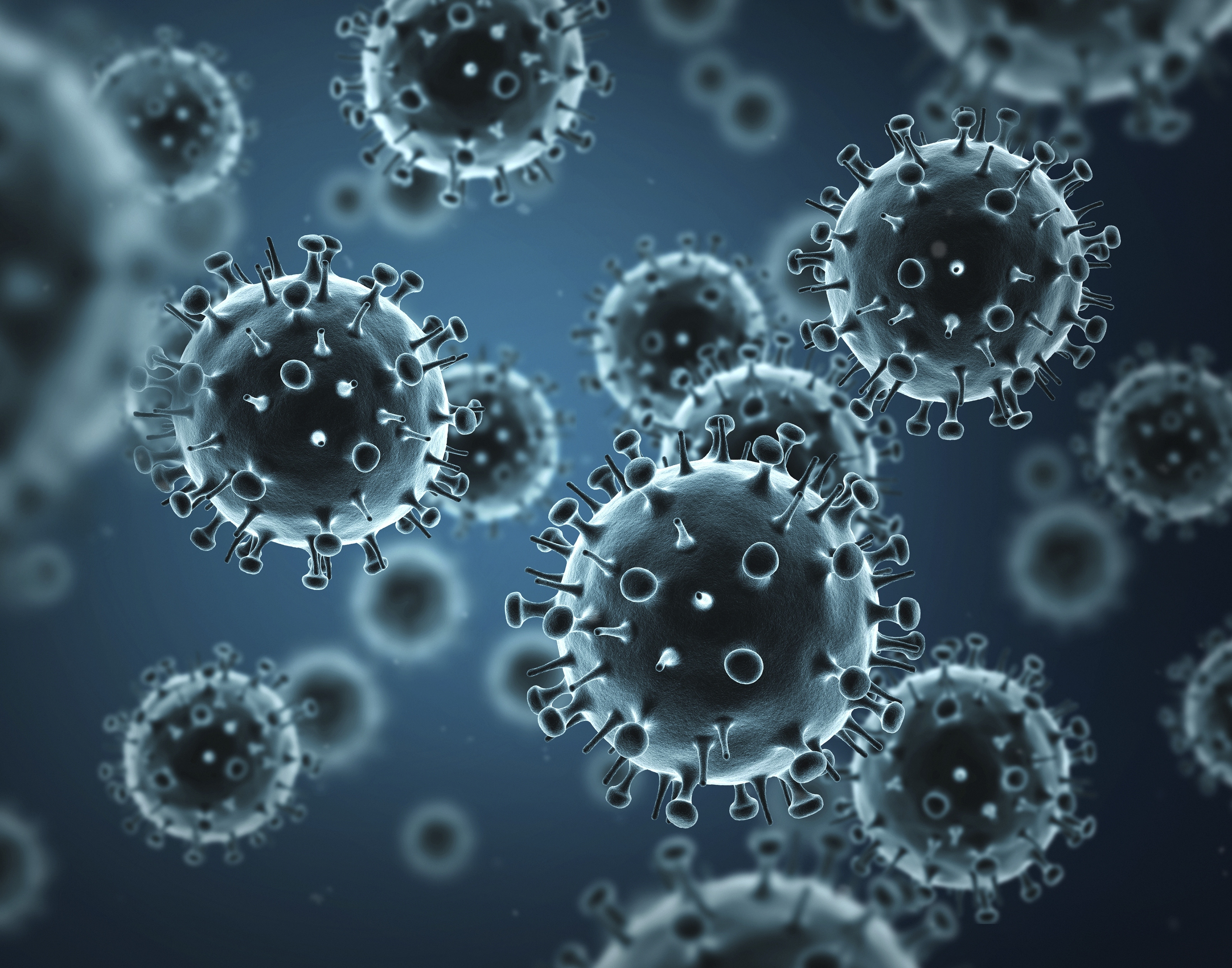 Intestinal Bacteria and Flavonoid Can Increase The Immune System’s Response to Flu
