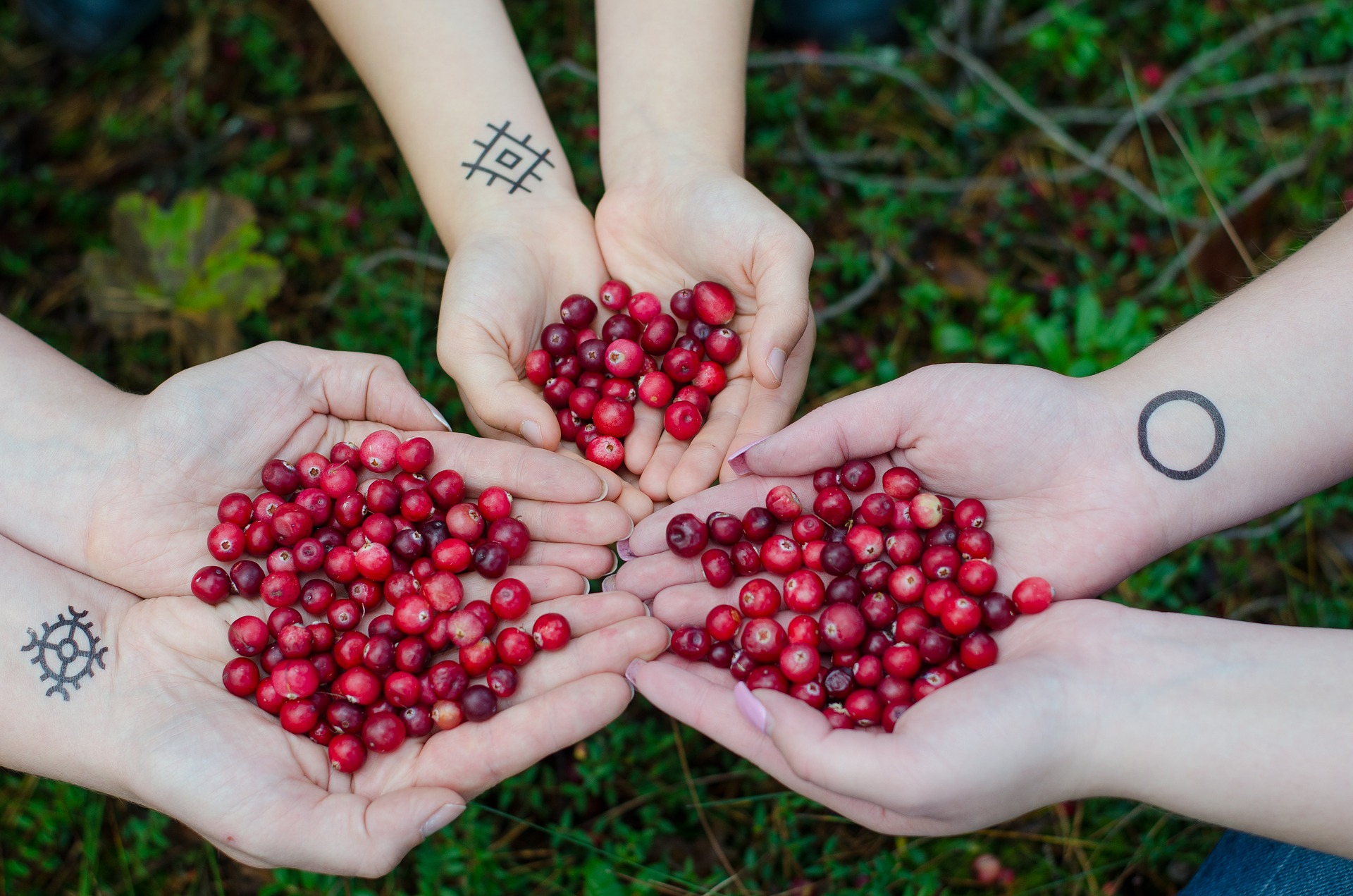 Benefits of Cranberry Juice