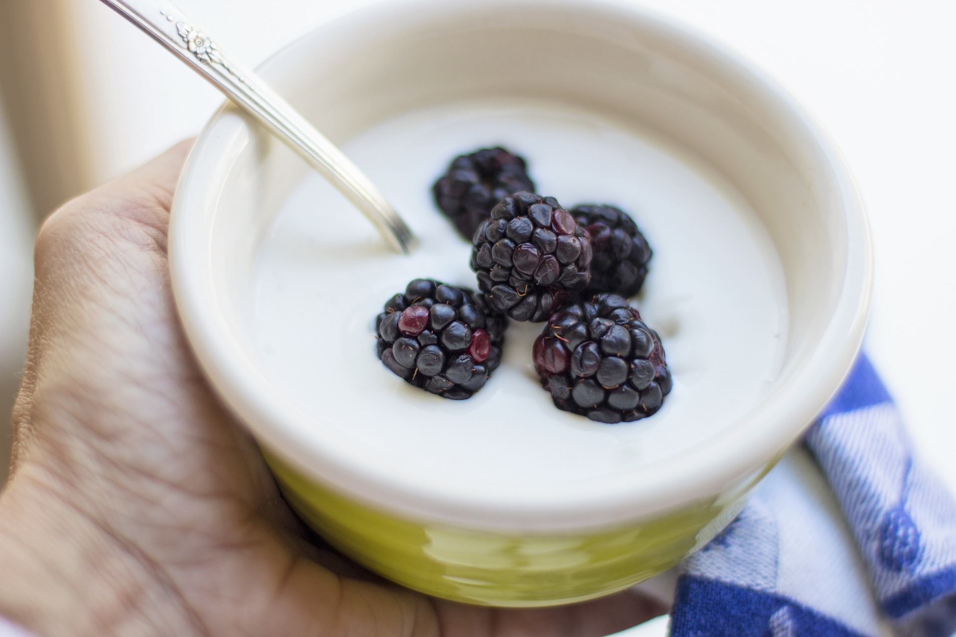Yoghurt sebagai pangan anti-inflamasi