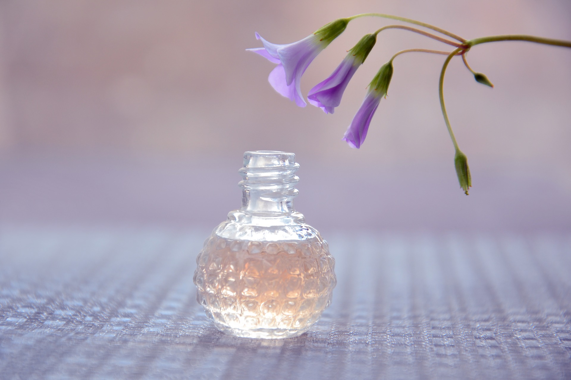 Essential oils for aromatherapy