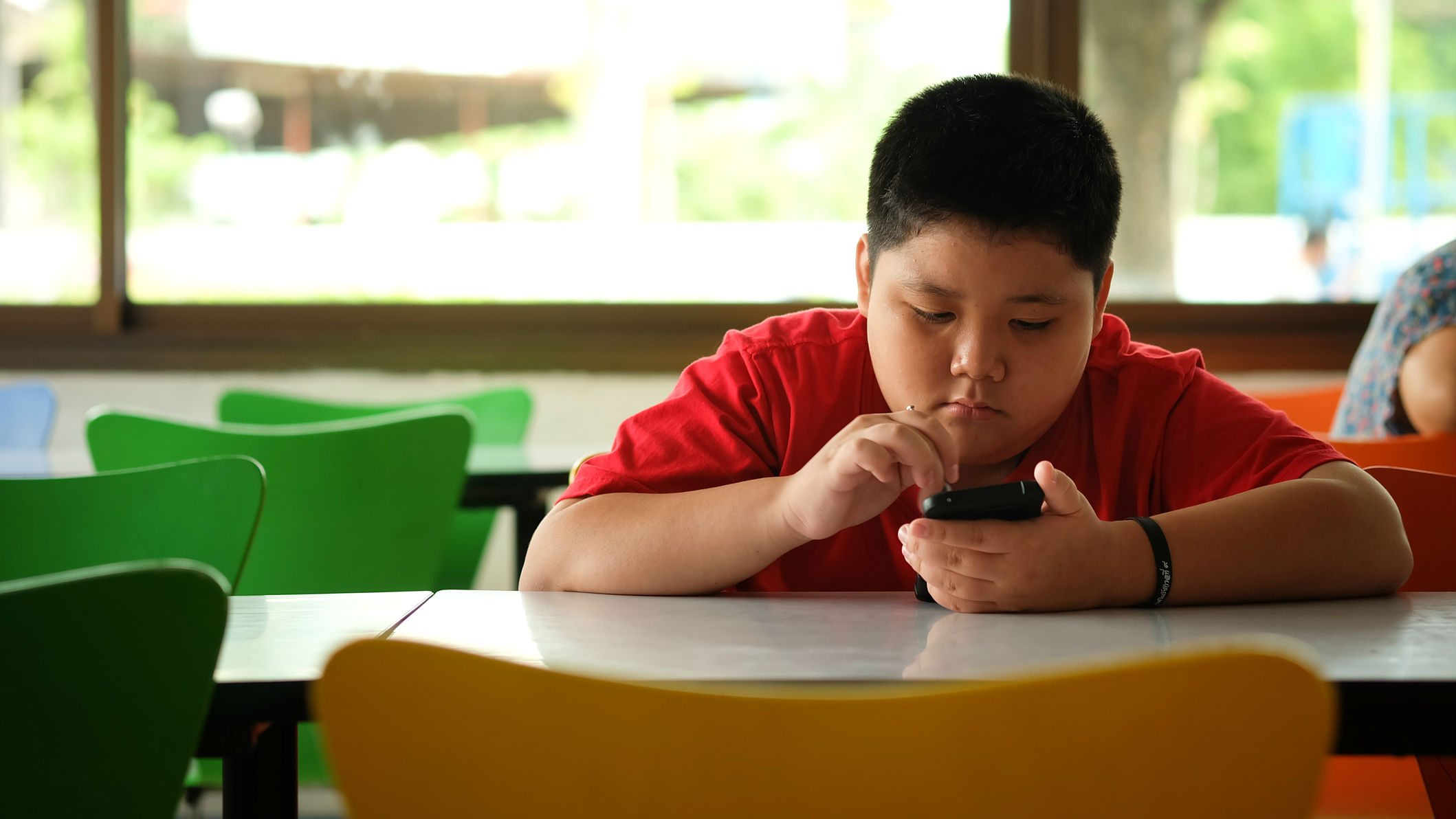 Intestinal bacteria are the major factor in childhood obesity