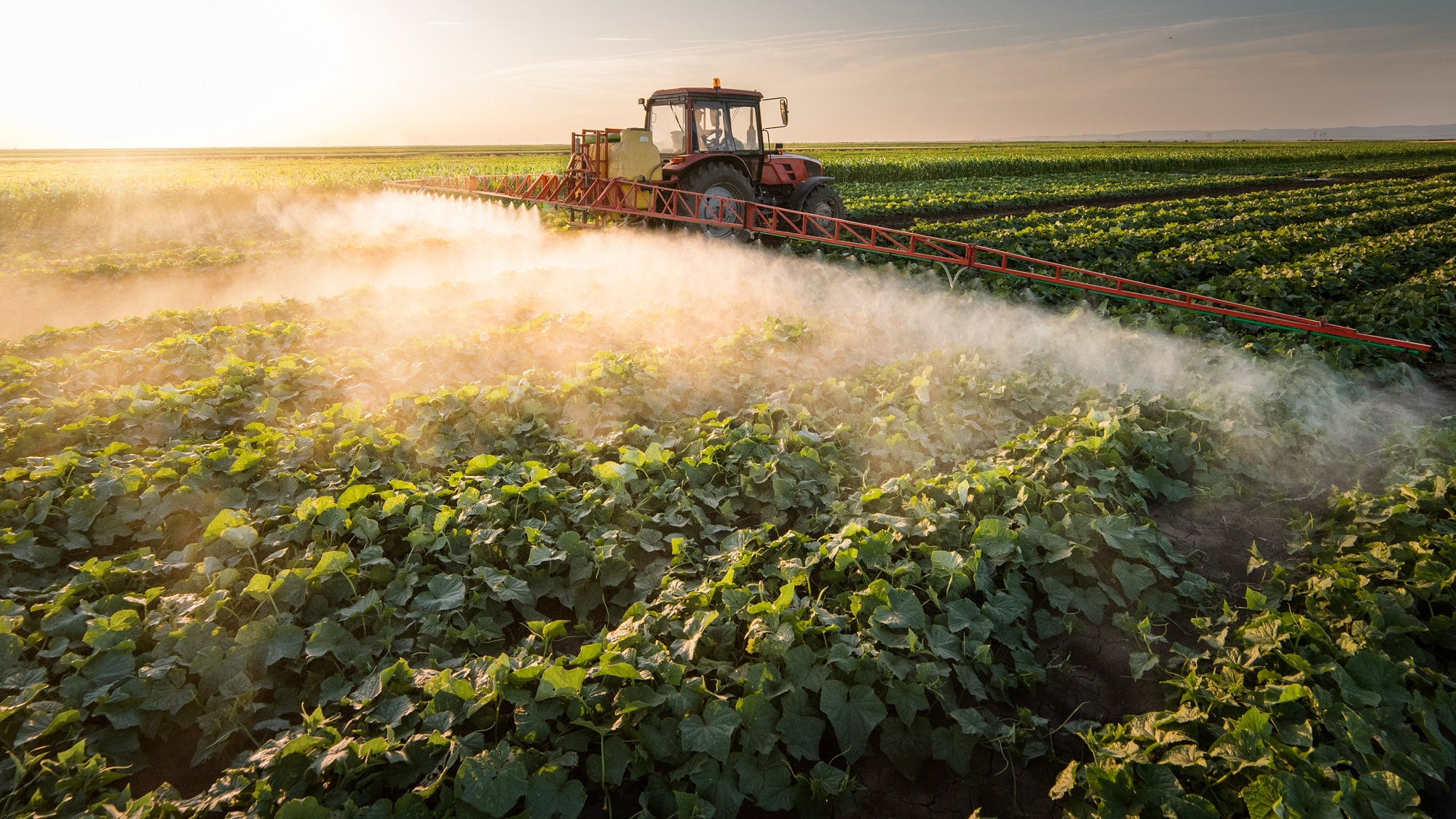 Too much exposure to pesticides can increase risk of death