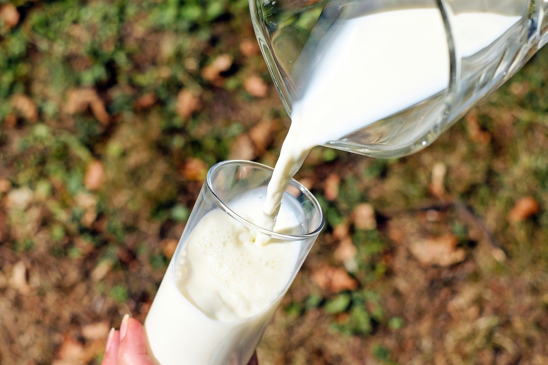 Susu full cream dapat turunkan risiko obesitas pada anak-anak