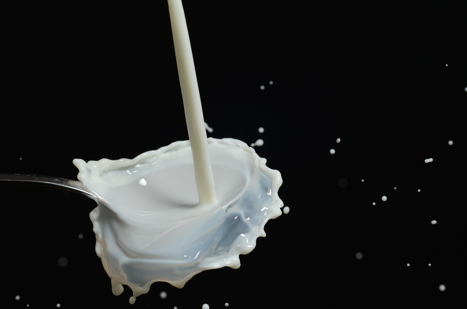 The link between milk and breast cancer