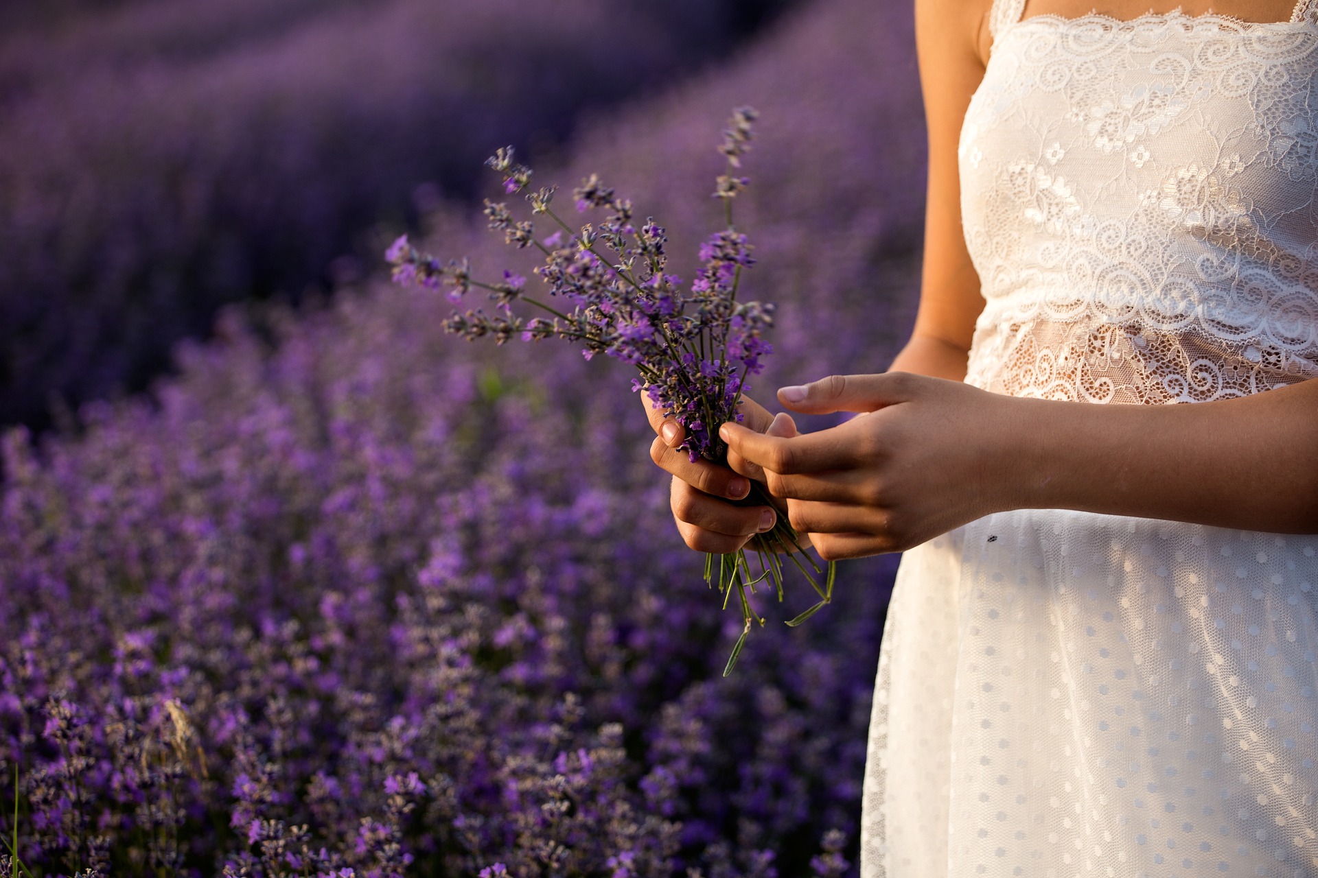 Khasiat lavender bagi kesehatan