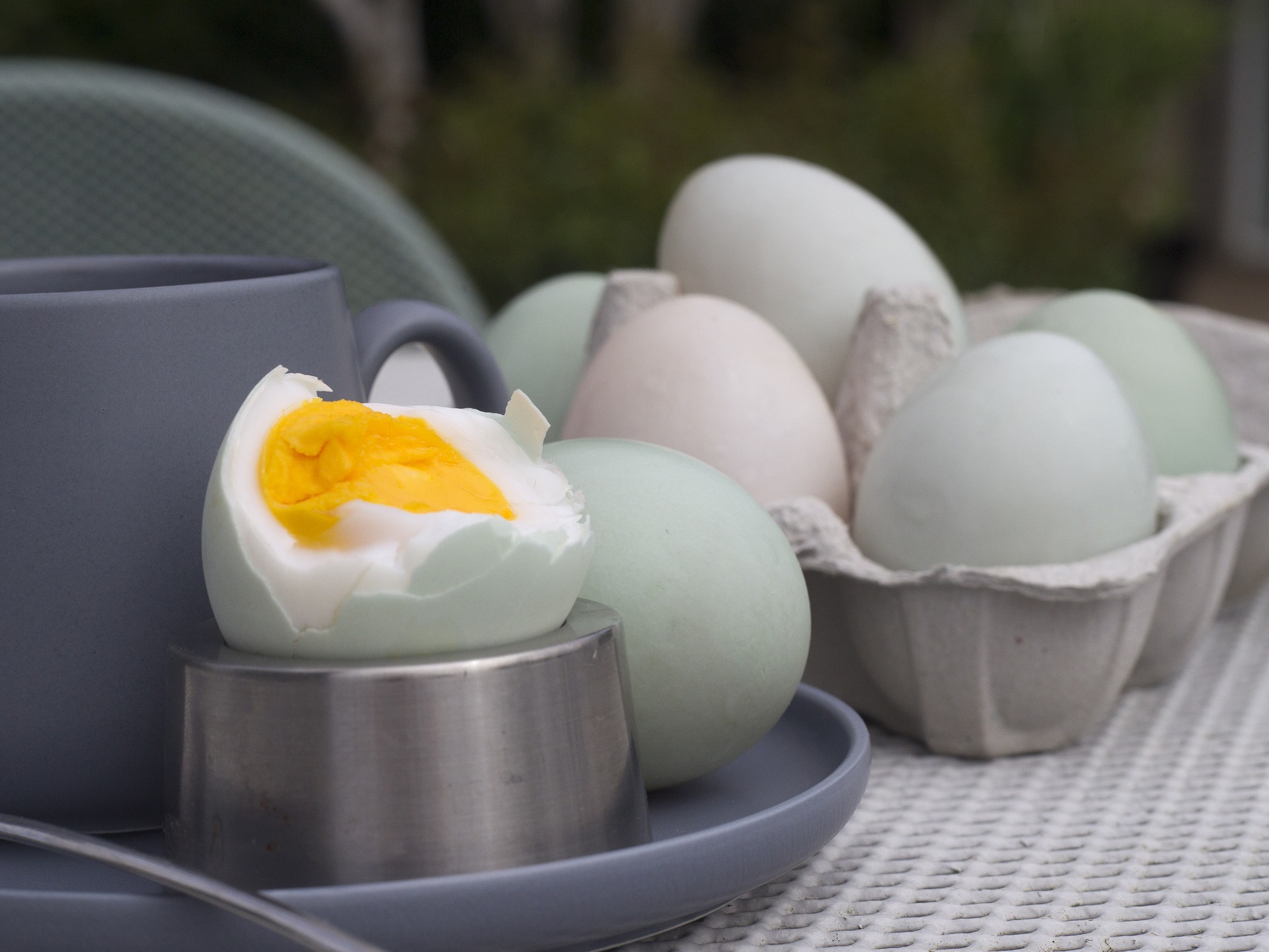 Everything you need to know about duck eggs