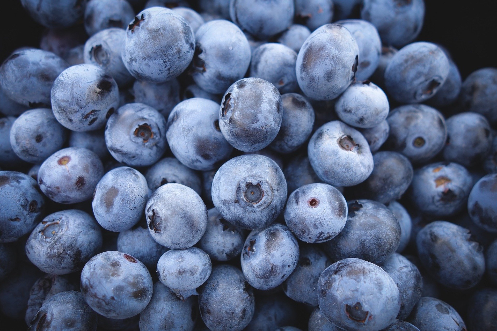 Benefits of blueberries for your skin