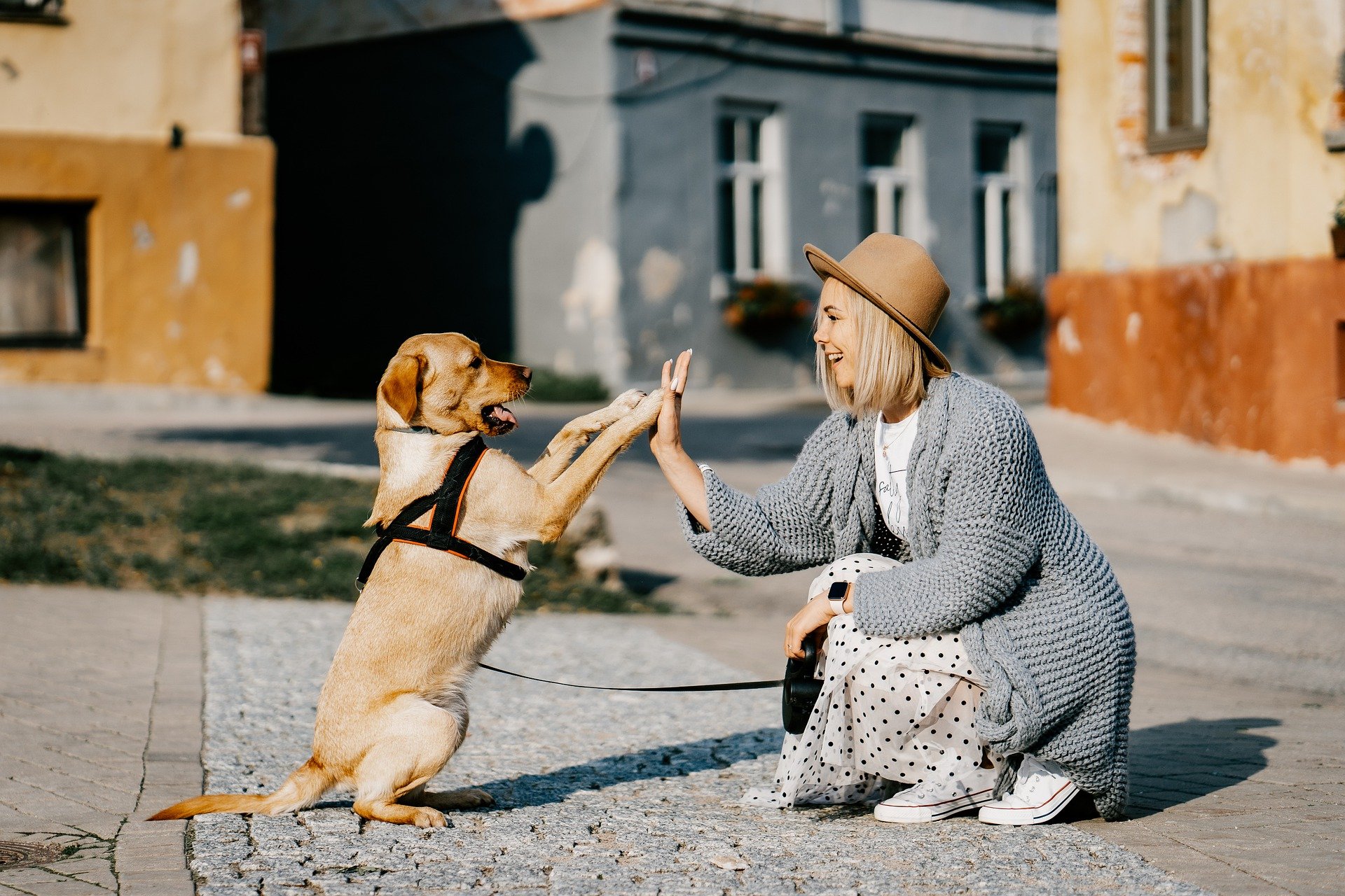Playing with your pets is good for your mental health