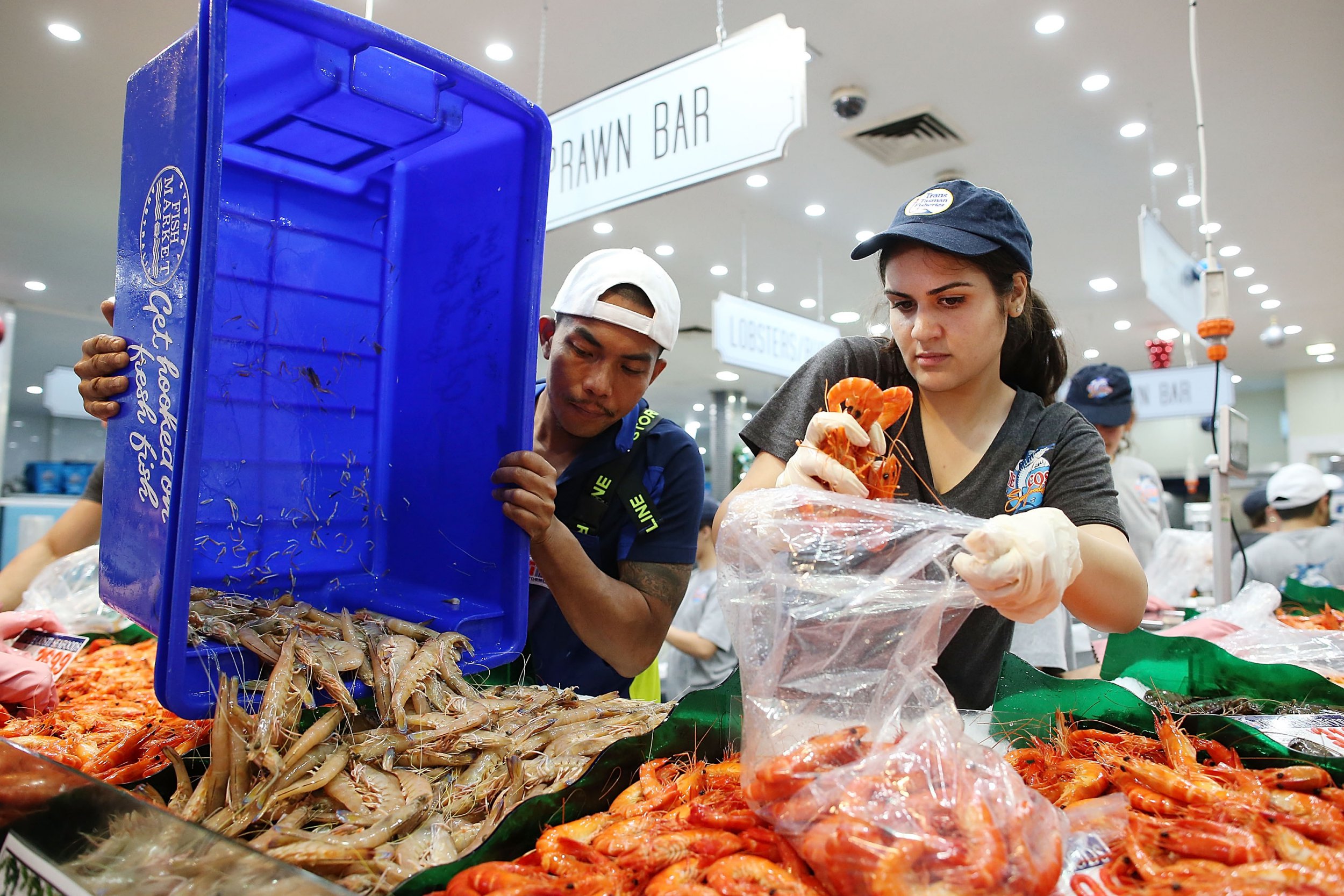 Study: Microplastics found in seafood samples